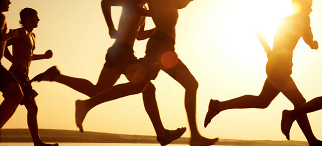 full body workouts