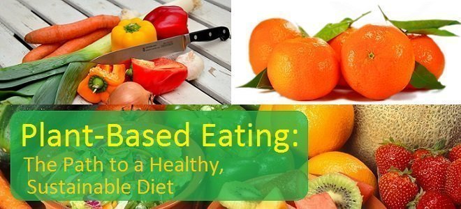 veggiesSticky plant based nutrition