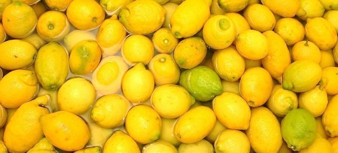 Fat Melting Featured foods that burn fat