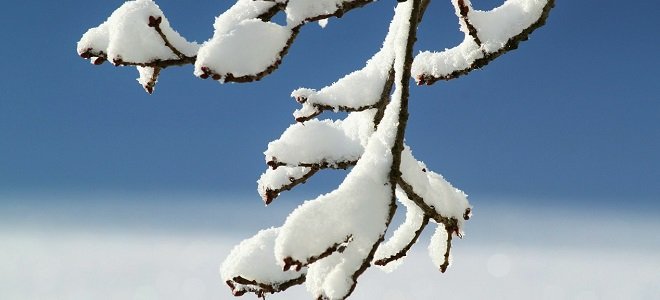 Stay active this winter featured how to stay active in the winter