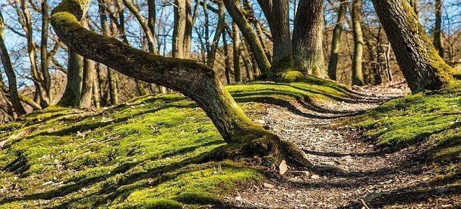 improving your will powerfeatured how to increase willpower