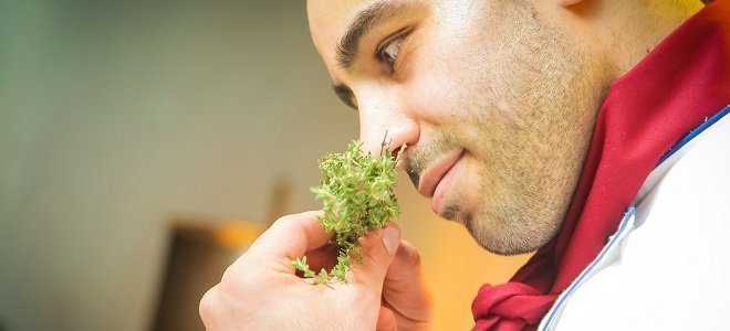 Does Smell Affect Weight Loss Featured smelling your food makes you fat