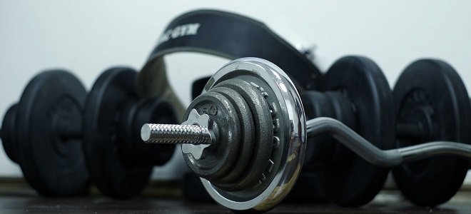 The Dumbbell Diet Why Should I Lift featured what does lifting weights do