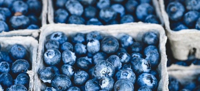 13 Simple and Easy Tips for Effective Weight Loss Featured weight loss tips