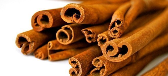 5 Health Benefits Of Cinnamon featured benefits of cinnamon