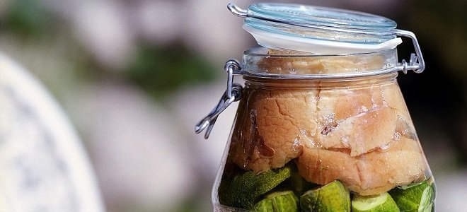3 Crazy Easy Fermented Foods You Can Make at Home Featured fermented foods