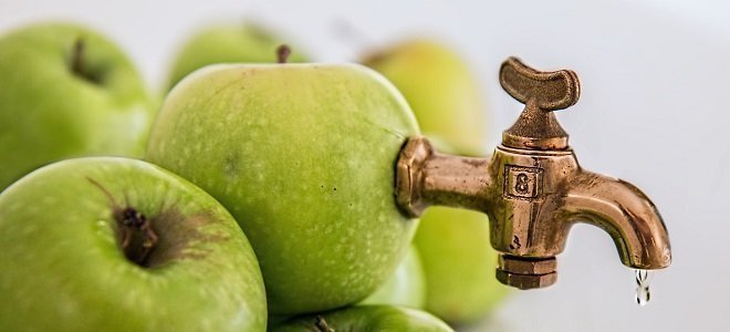 Masticating Juicer – Pros and Cons You Need to Know Ft benefits of masticating juicer