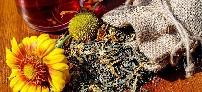 5-everyday-herbs-to-fight-indigestion-featured indigestion relief
