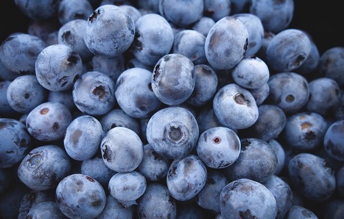 7 Splendid Foods to Drastically Improve Your Memory foods that improve memory