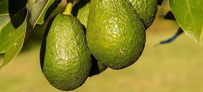 eat-more-weigh-less-with-these-slimming-foods-featured Eat More, Weigh Less with These Slimming Foods