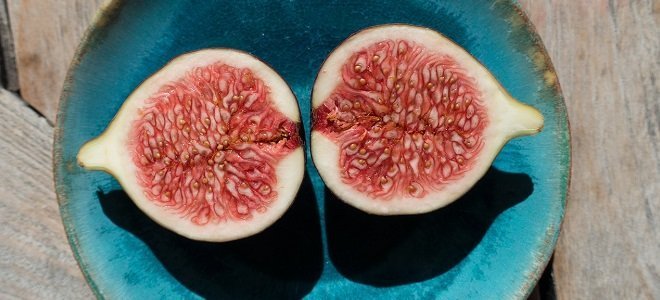 3-less-known-yet-power-packed-seeds-featured healthy seeds