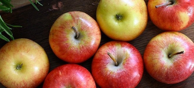 5 Easy Habits That Will Help You Lose Weight Naturally