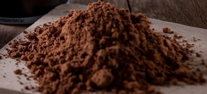 organic protein powder