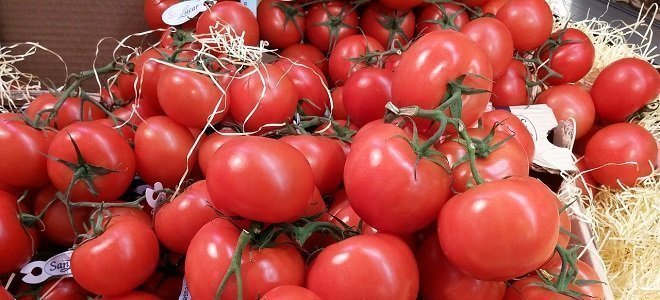 How to Get on a Healthy Nutrition Plan featured nutrition plan