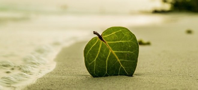 self-care, wellness, lifestyle,