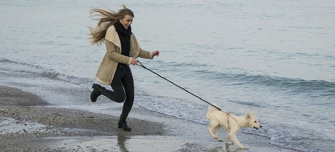 ways to exercise with your dog