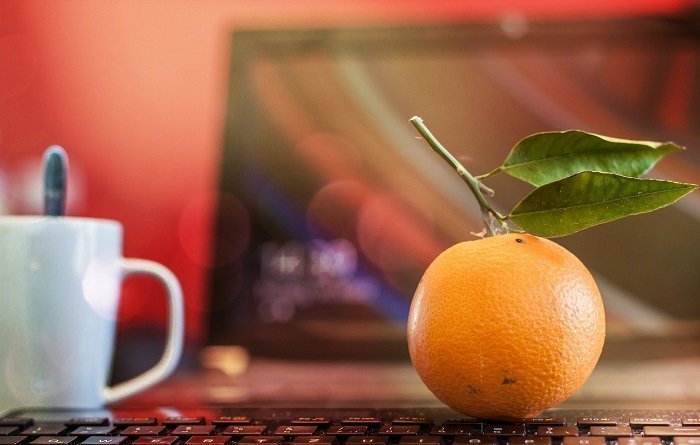 wellness in the workplace tips