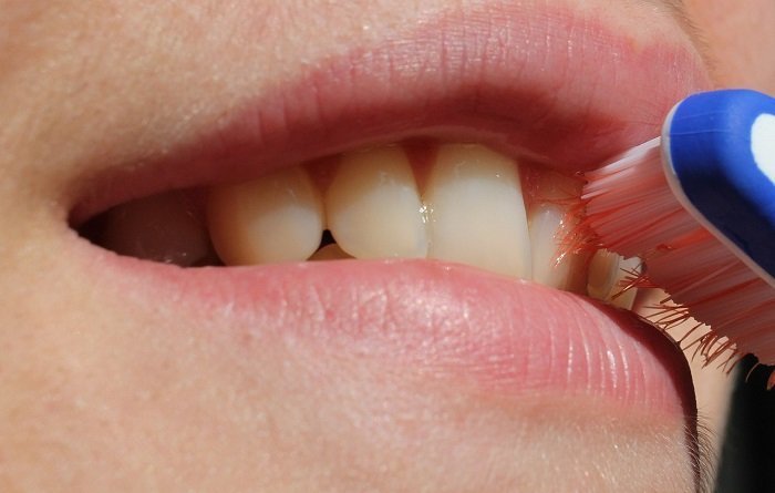 What are the Five Best Foods for Healthier Teeth foods that are good for your teeth