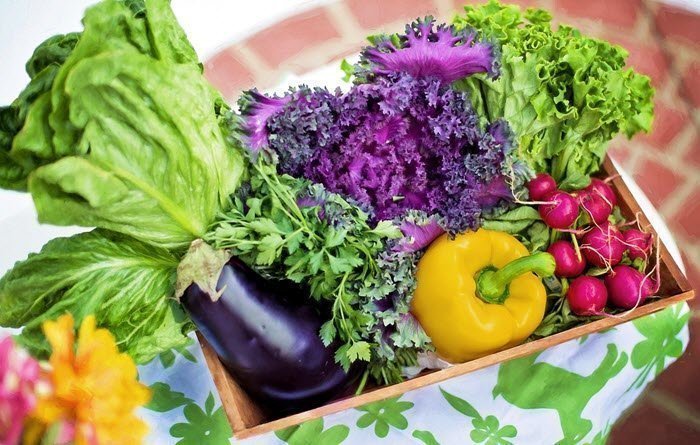 Why Super Greens Powder is Beneficial to Your Health benefits of supergreen powder