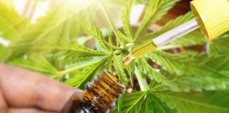 cbd oil supplier qualities you should keep in mind