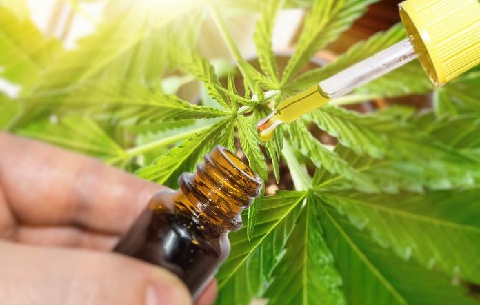 CBD Oil Supplier Qualities You Should Keep In Mind Today cbd oil supplier qualities you should keep in mind