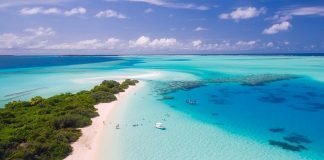 Top Tips for a Healthy Summer Vacation at the Beach
