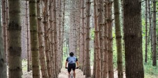 Top 5 Daily Routines That Fit People Have