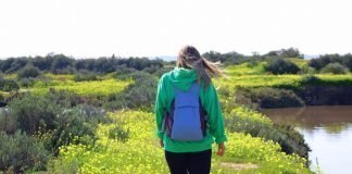 Top Tips for Understanding Different Critical Wellness Dimensions