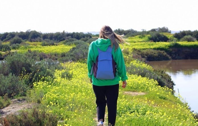 Top Tips for Understanding Different Critical Wellness Dimensions Top Tips for Understanding Different Critical Wellness Dimensions