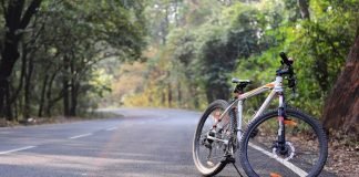 Top 5 Most Effective Ways To Stay Healthy