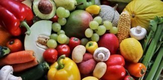 5 Common Nutrition Misconceptions You Need to Know