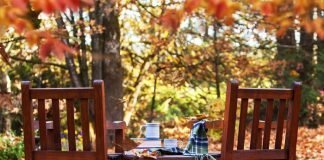 5 Top Drinks For This Autumn You Cannot Miss Today