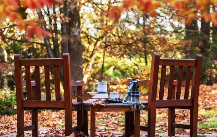 5 Top Drinks For This Autumn You Cannot Miss Today 5 Top Drinks For This Autumn You Cannot Miss Today