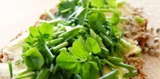 How Food Allergies Can Impact Your Health Overall