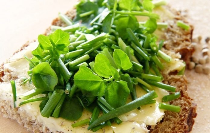 How Food Allergies Can Impact Your Health Overall How Food Allergies Can Impact Your Health Overall