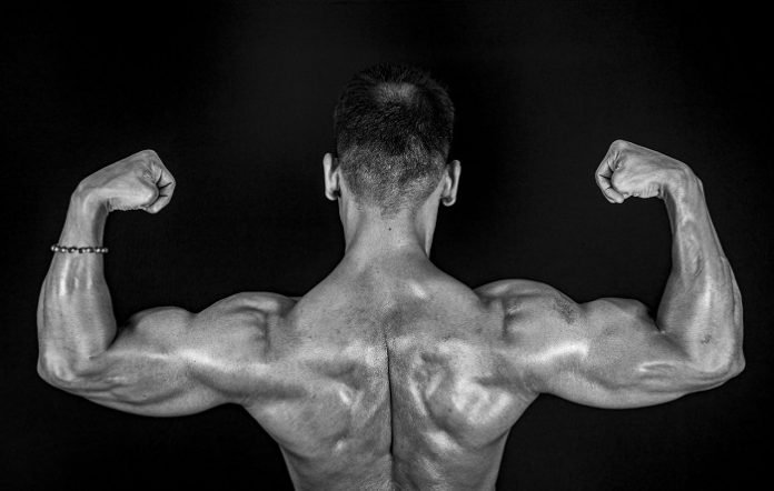 6 Things You Should Look For In Testosterone Boosting Supplements 6 Things You Should Look For In Testosterone Boosting Supplements