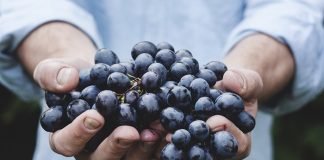 How to Maintain Healthy Food Habits in Quarantine