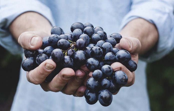 How to Maintain Healthy Food Habits in Quarantine How to Maintain Healthy Food Habits in Quarantine