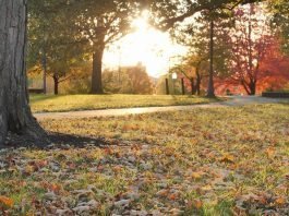 How to Keep Your Body and Mind Healthy at College