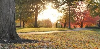 How to Keep Your Body and Mind Healthy at College