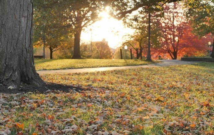 How to Keep Your Body and Mind Healthy at College How to Keep Your Body and Mind Healthy at College