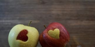 The Science Behind Brain Development Nutrition