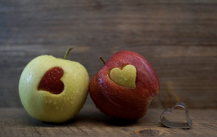 The Science Behind Brain Development Nutrition The Science Behind Brain Development Nutrition