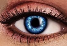 10 Mistakes to Avoid Before Purchasing Fake Lashes 10 Mistakes to Avoid Before Purchasing Fake Lashes
