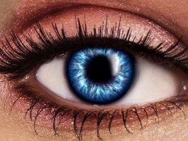 10 Mistakes to Avoid Before Purchasing Fake Lashes