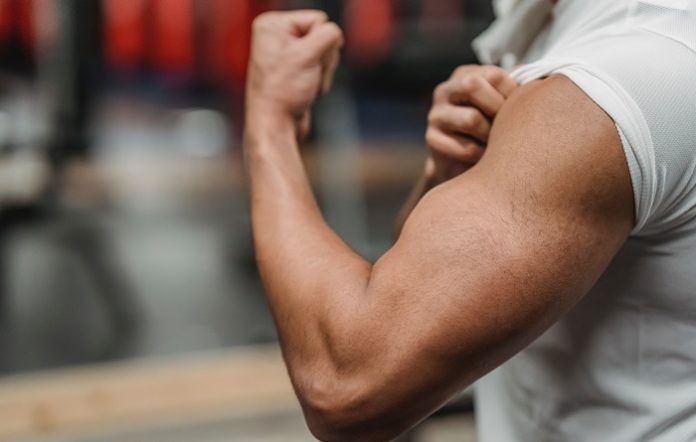 5 Reasons Why You're Not Building Muscle 5 Reasons Why You're Not Building Muscle