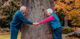 3 Health Tips for the Elderly