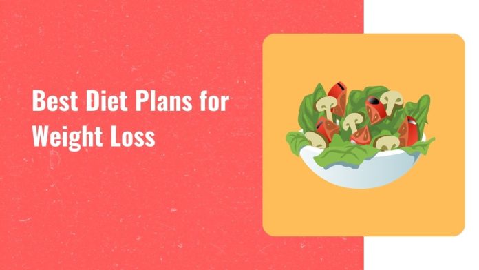 diet-plans-for-weight-loss Best diet plans for weight loss