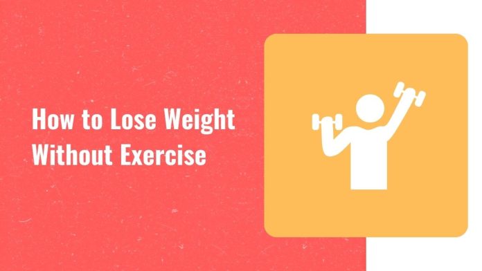 lose-weight-without-exercise How to lose weight without exercise
