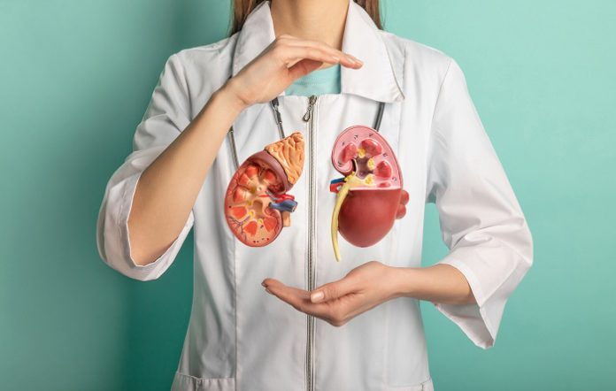 From Prevention To Dialysis A Complete Guide To Kidney Care From Prevention To Dialysis A Complete Guide To Kidney Care